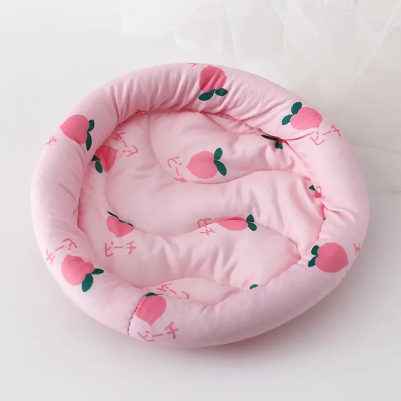 Cozy Hamster Bed & Accessories Set