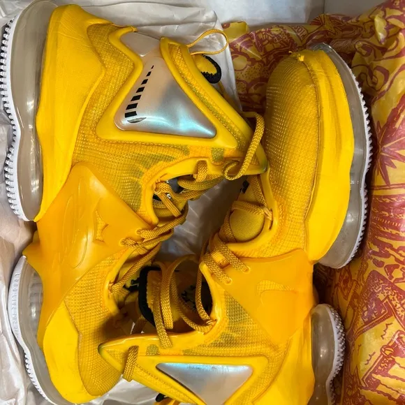 Lebron XIX Basketball Shoes