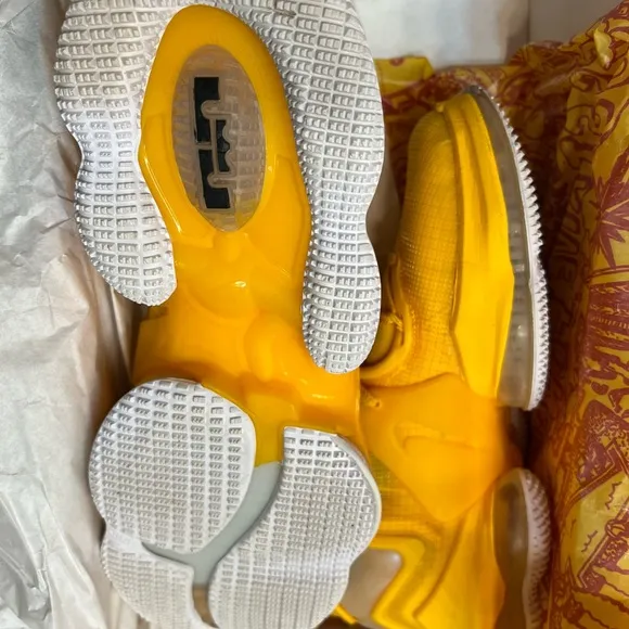 Lebron XIX Basketball Shoes