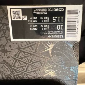 Lebron XIX Basketball Shoes