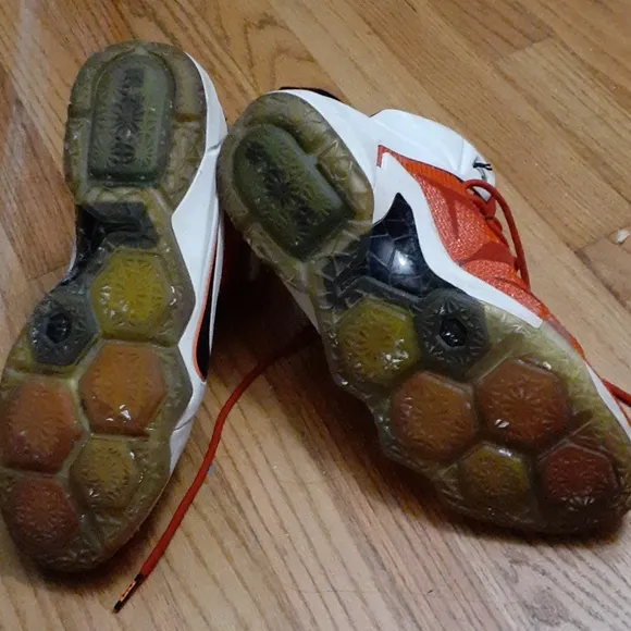Nike Lebron James Heart of a Lion Sneakers Size 13