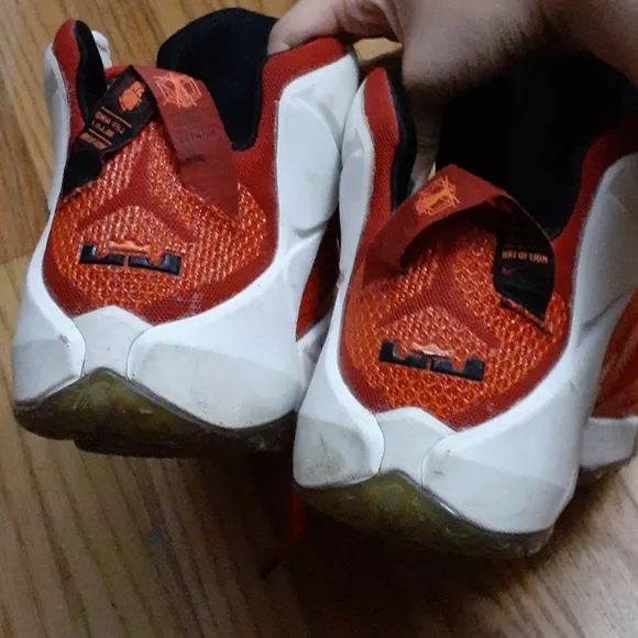Nike Lebron James Heart of a Lion Sneakers Size 13