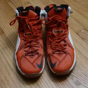 Nike Lebron James Heart of a Lion Sneakers Size 13