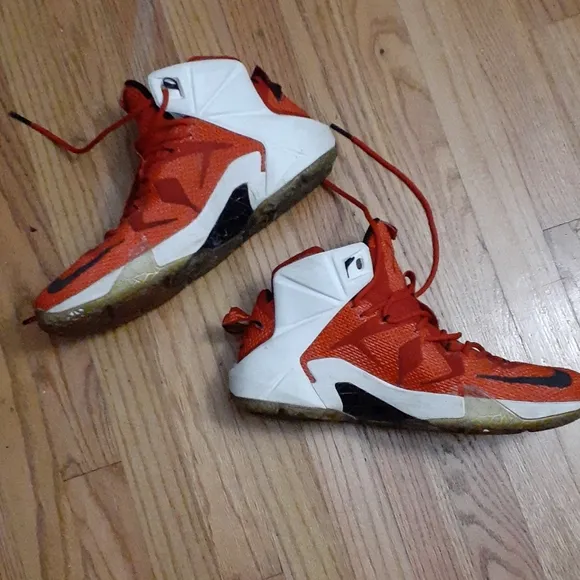 Nike Lebron James Heart of a Lion Sneakers Size 13