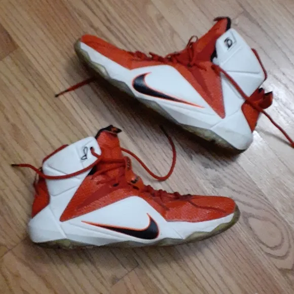 Nike Lebron James Heart of a Lion Sneakers Size 13