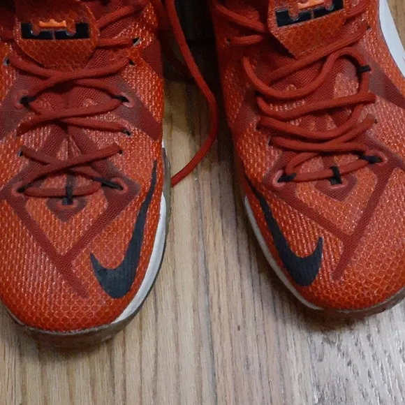 Nike Lebron James Heart of a Lion Sneakers Size 13